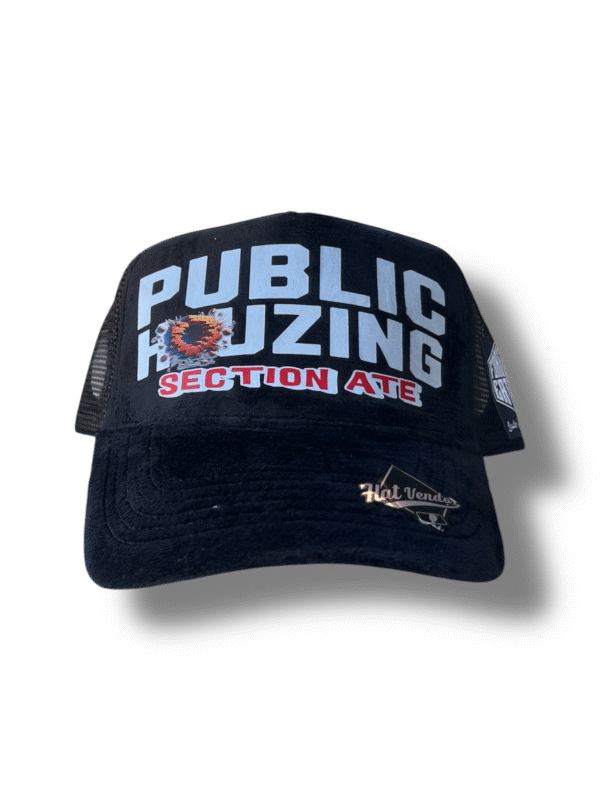 "Public Houzing" Velvet Trucker Hat