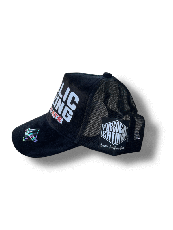 "Public Houzing" Velvet Trucker Hat - Image 2